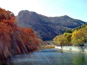 澳门二四六天天彩图库，家居论坛